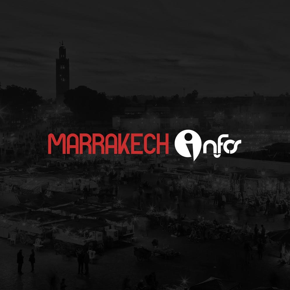 Création de logotype vectoriel pour pour portail dynamique à Marrakech