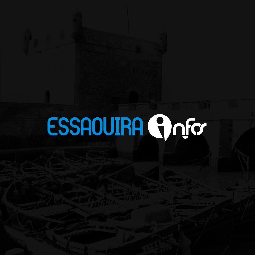 Conception logo vectorisé pour communication visuelle pour portail à Essaouira